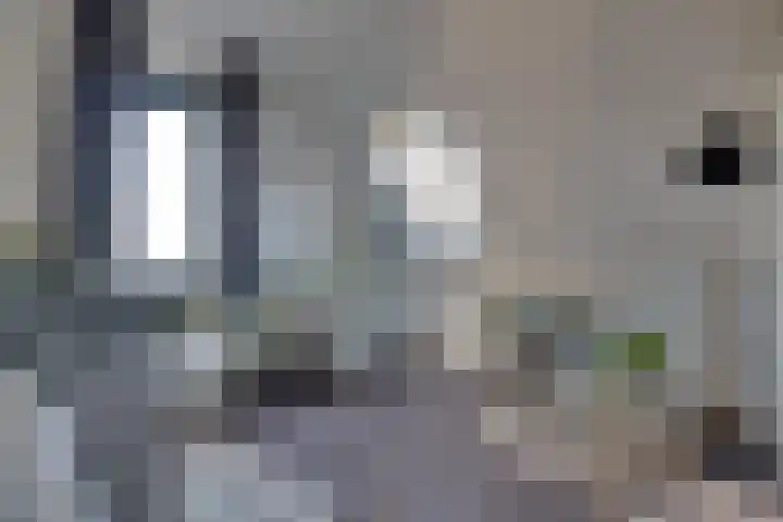 De Wyk 29 Boelenslaan thumbnail 24