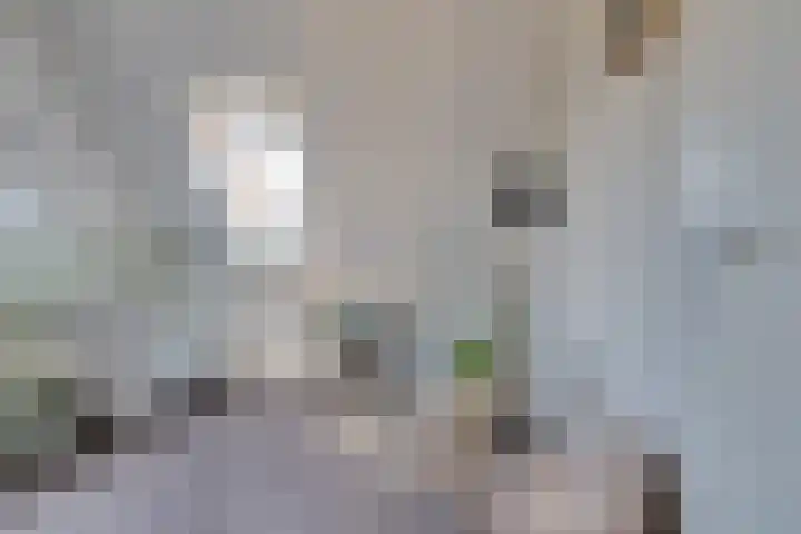 De Wyk 29 Boelenslaan thumbnail 25