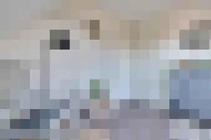 De Wyk 29 Boelenslaan thumbnail 26