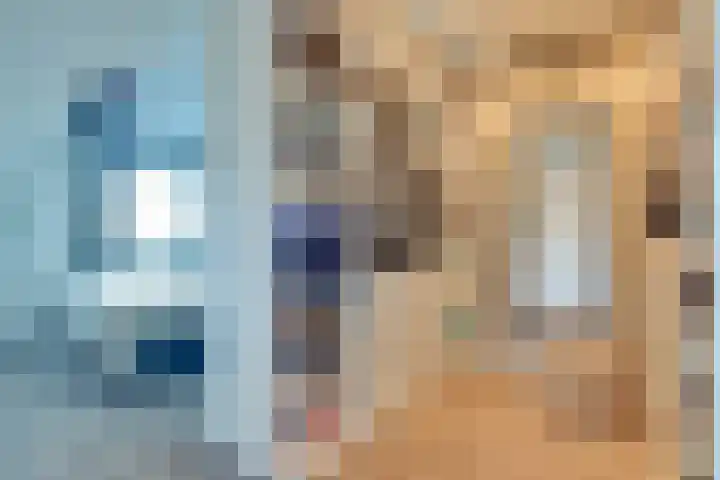 De Wyk 29 Boelenslaan thumbnail 27