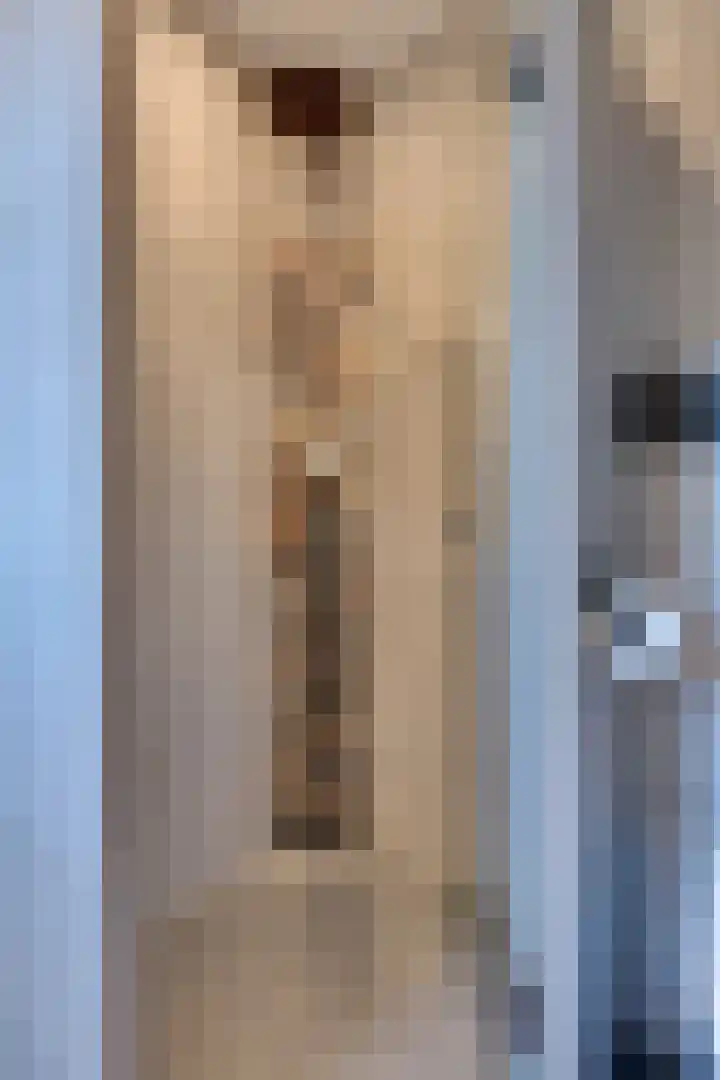 De Wyk 29 Boelenslaan thumbnail 32