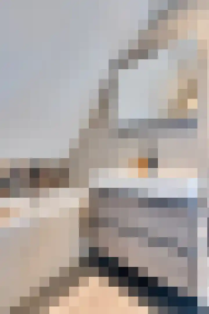 De Wyk 29 Boelenslaan thumbnail 33