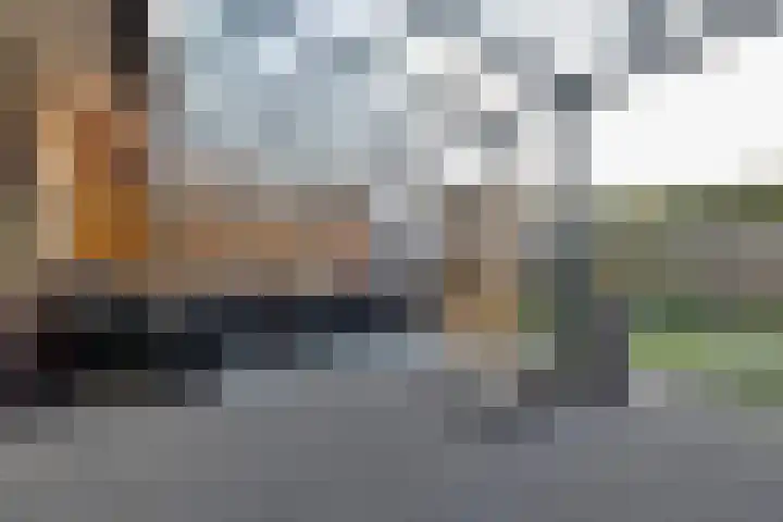 De Wyk 29 Boelenslaan thumbnail 38