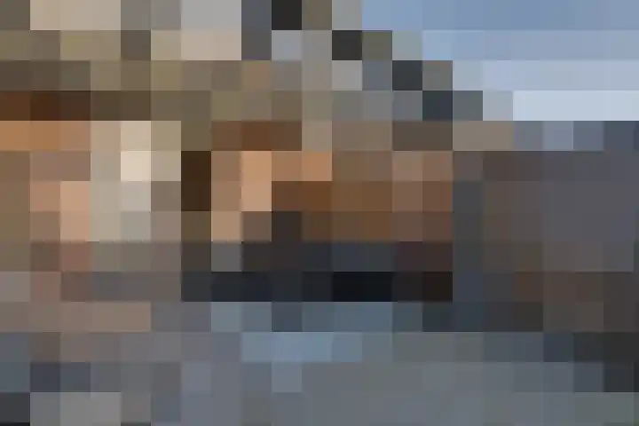De Wyk 29 Boelenslaan thumbnail 39