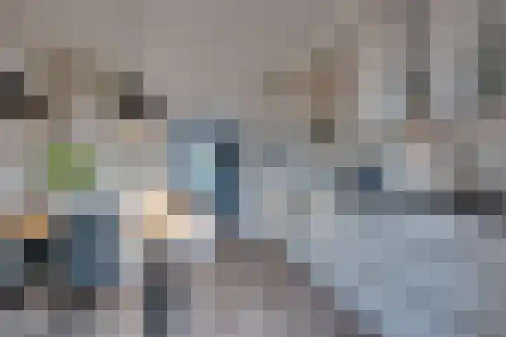 De Wyk 29 Boelenslaan thumbnail 4