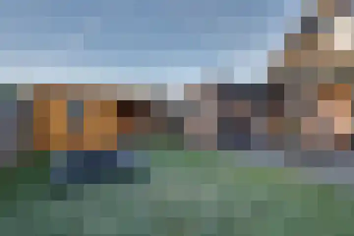 De Wyk 29 Boelenslaan thumbnail 41