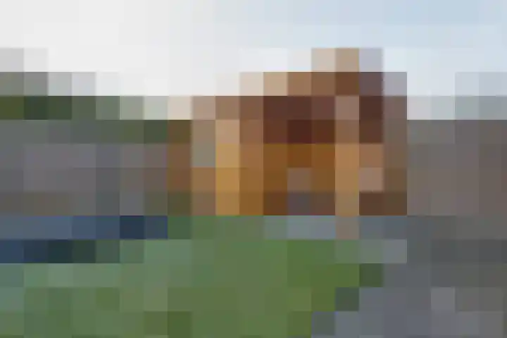 De Wyk 29 Boelenslaan thumbnail 42