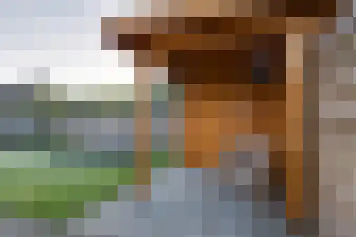 De Wyk 29 Boelenslaan thumbnail 43