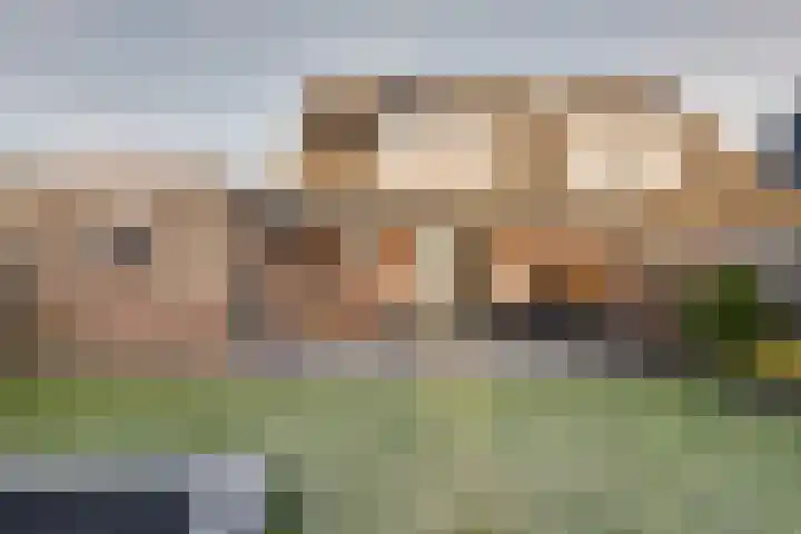 De Wyk 29 Boelenslaan thumbnail 45