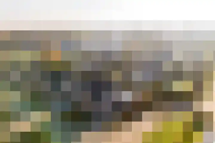 De Wyk 29 Boelenslaan thumbnail 47