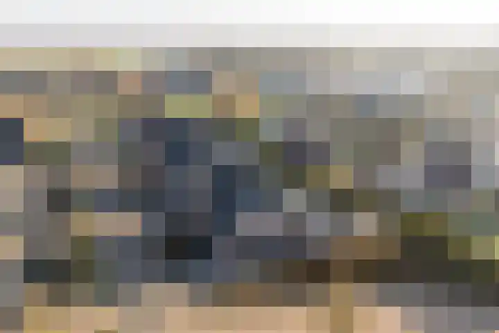 De Wyk 29 Boelenslaan thumbnail 48