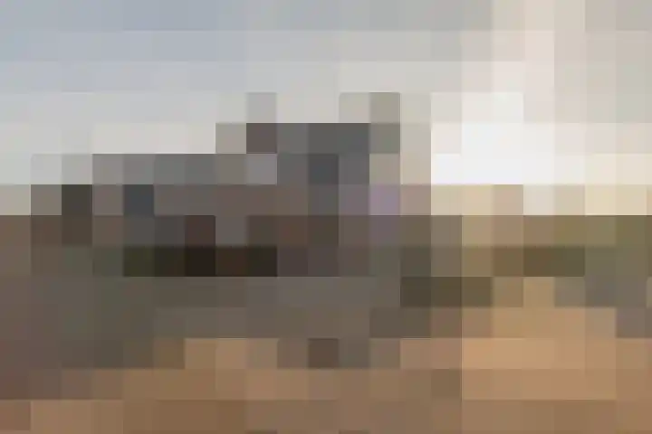 De Wyk 29 Boelenslaan thumbnail 6