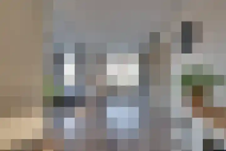 De Wyk 29 Boelenslaan thumbnail 7