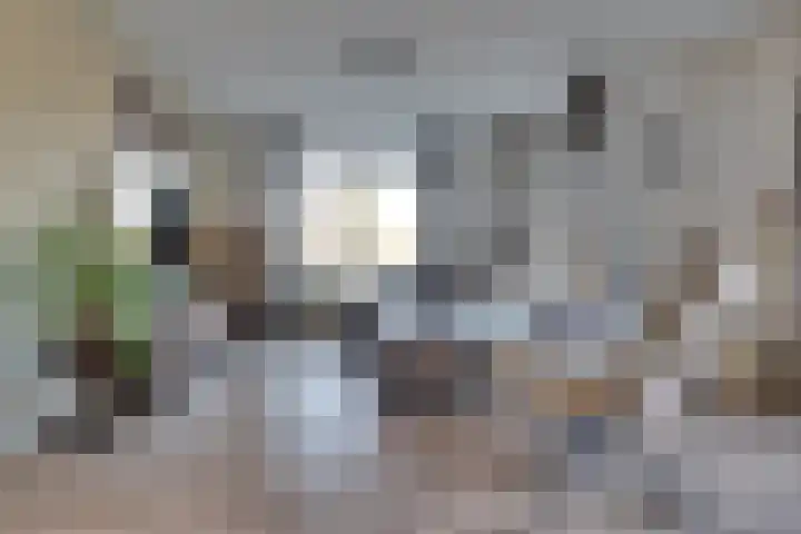 De Wyk 29 Boelenslaan thumbnail 8