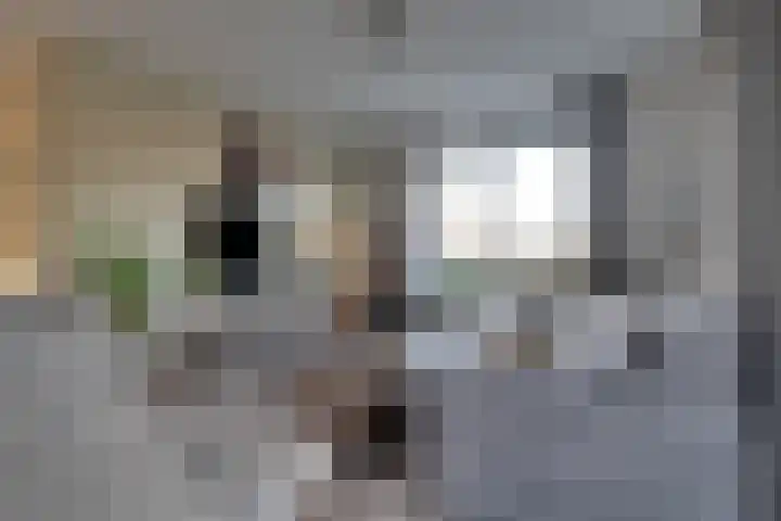 De Wyk 29 Boelenslaan thumbnail 9