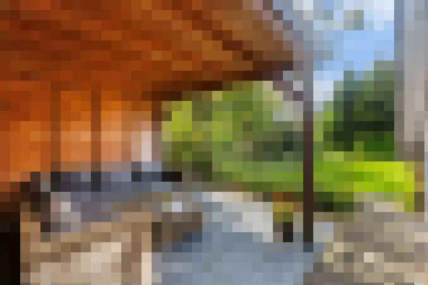 De Wylch 26 Burgum thumbnail 27