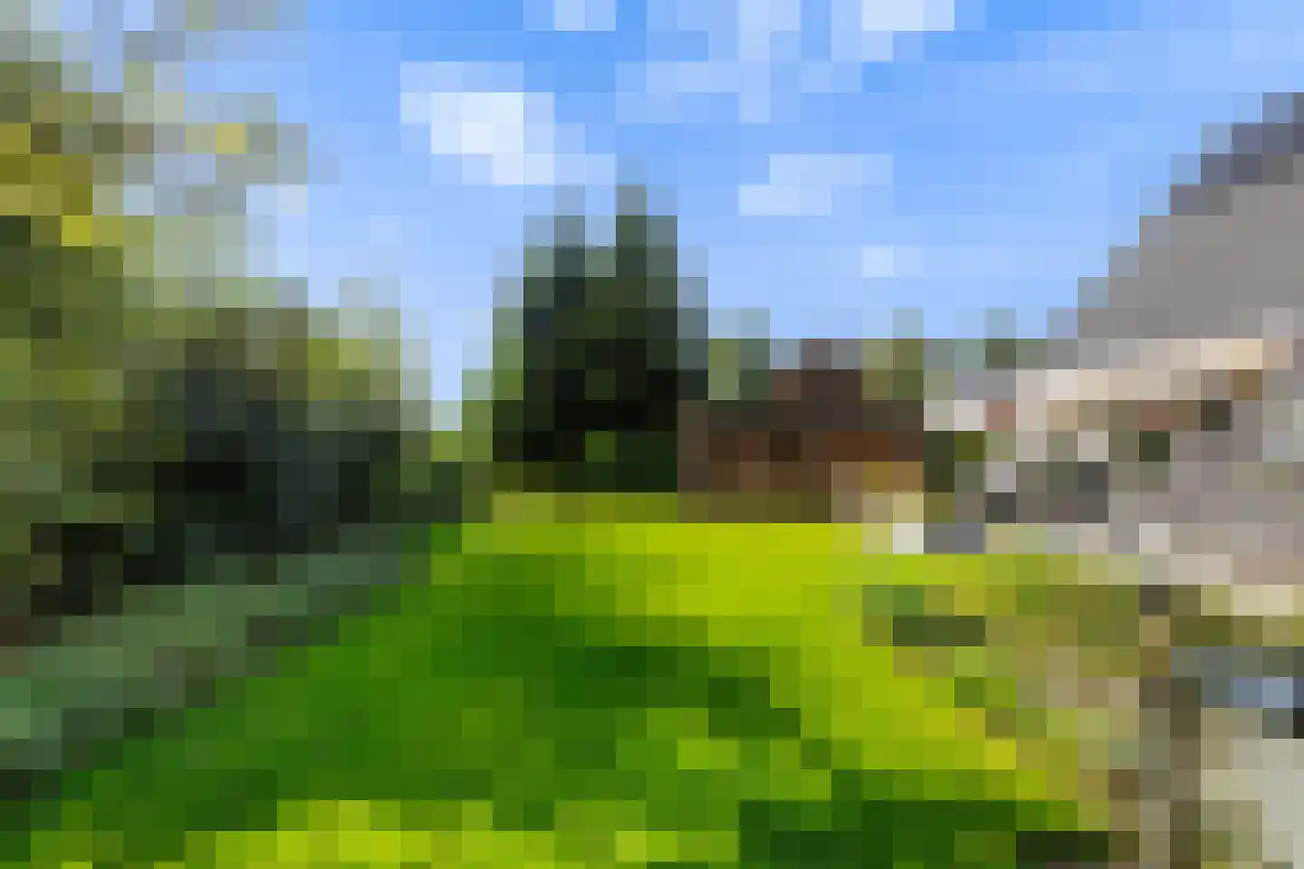 De Wylch 26 Burgum thumbnail 28
