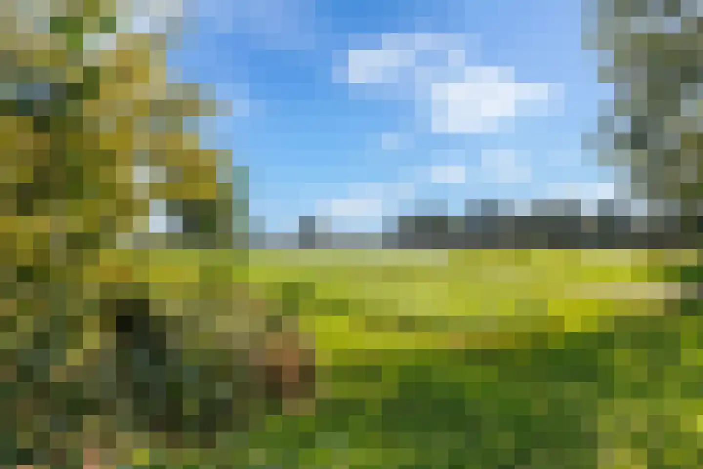 De Wylch 26 Burgum thumbnail 30
