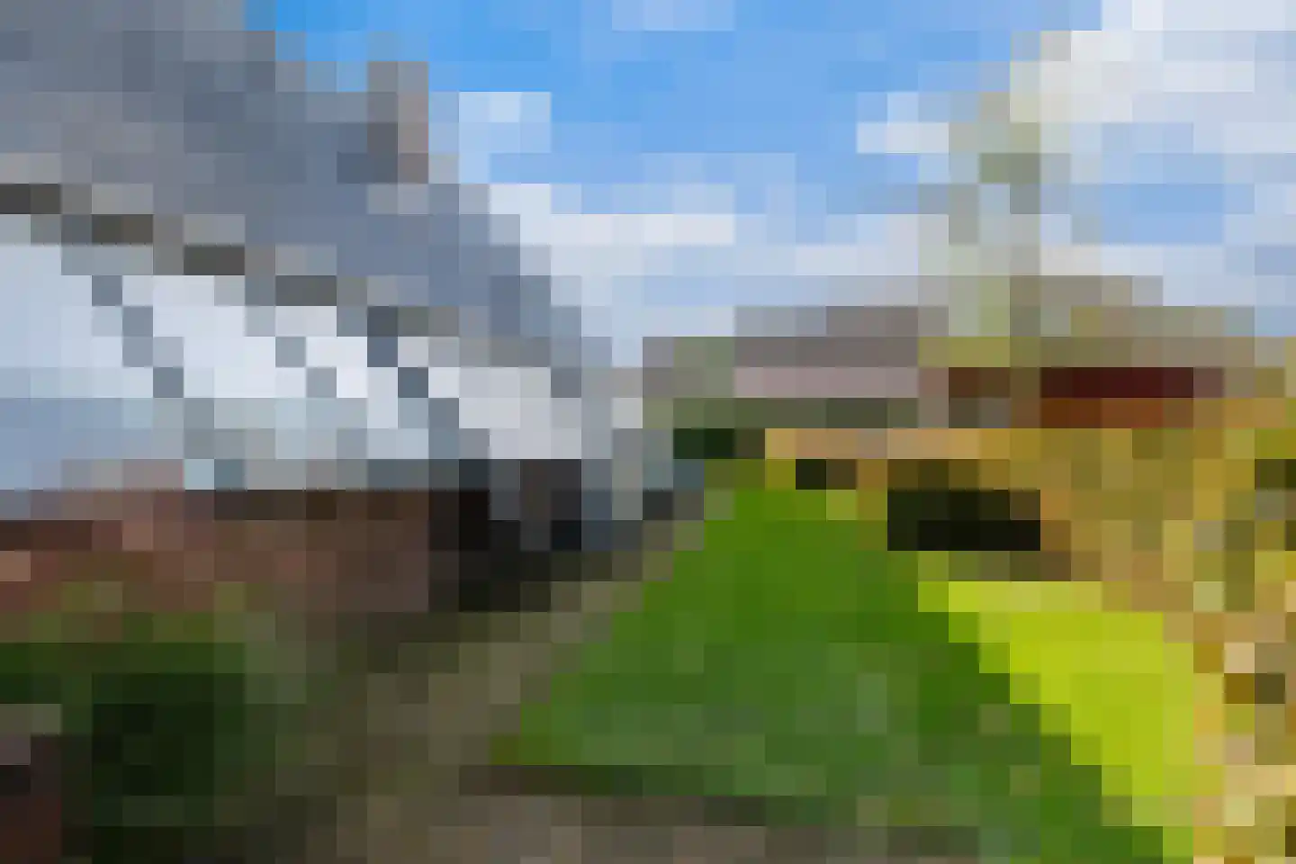 De Wylch 26 Burgum thumbnail 32