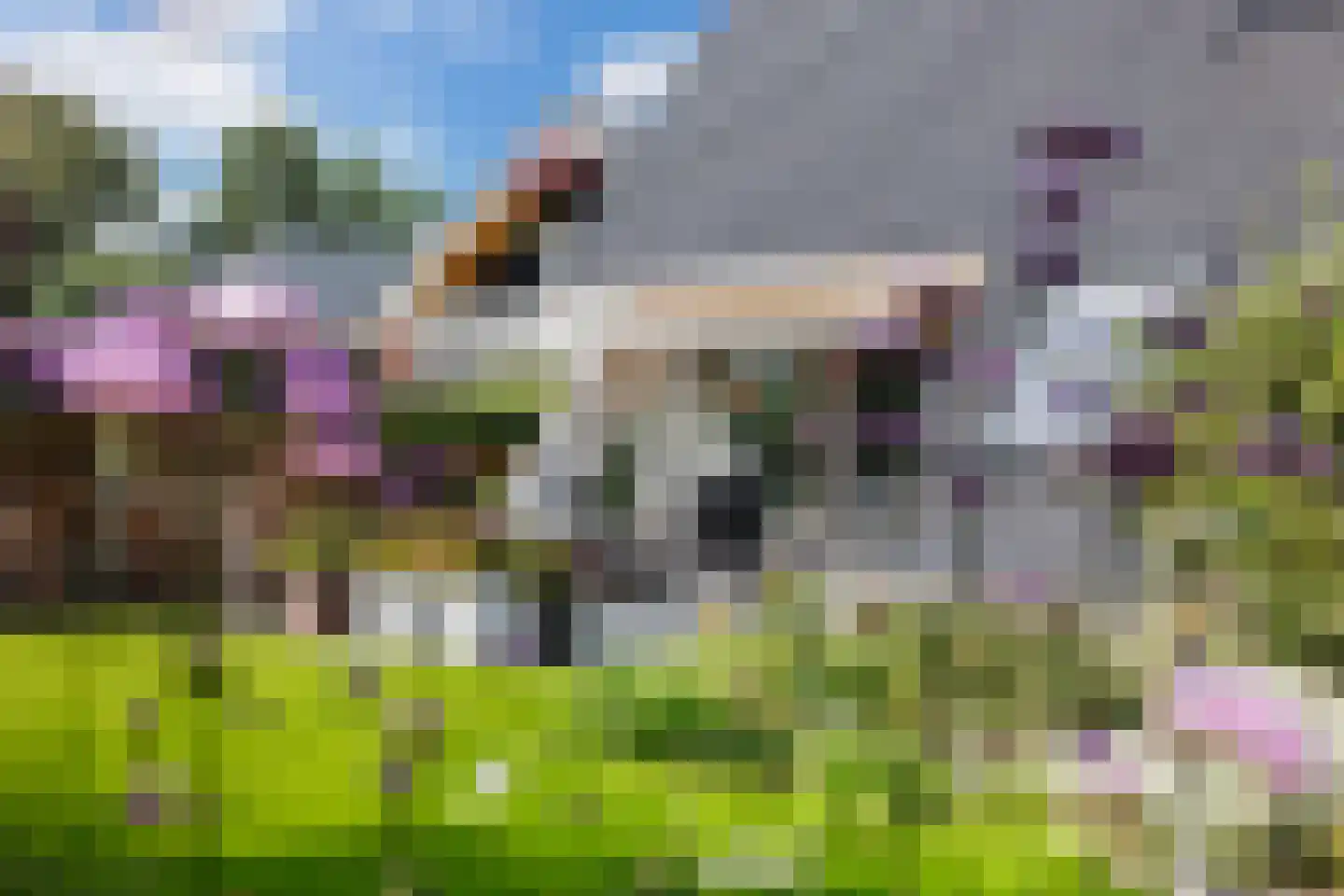 De Wylch 26 Burgum thumbnail 36