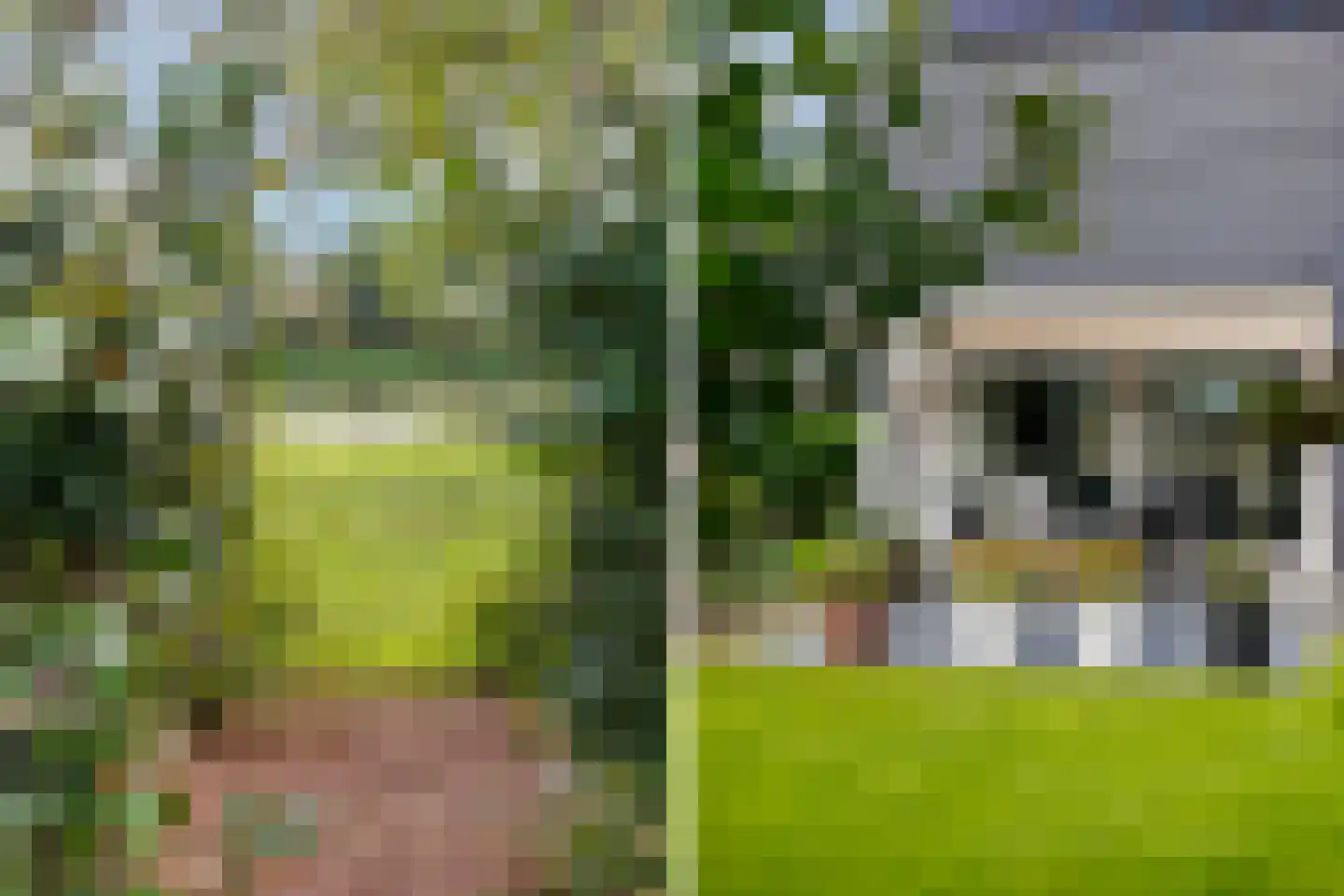 De Wylch 26 Burgum thumbnail 38