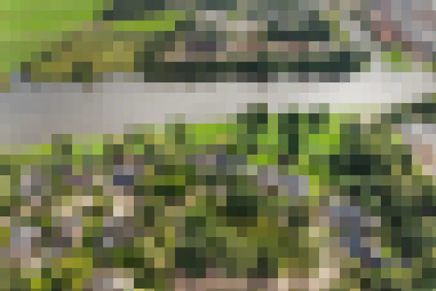 De Wylch 26 Burgum thumbnail 5
