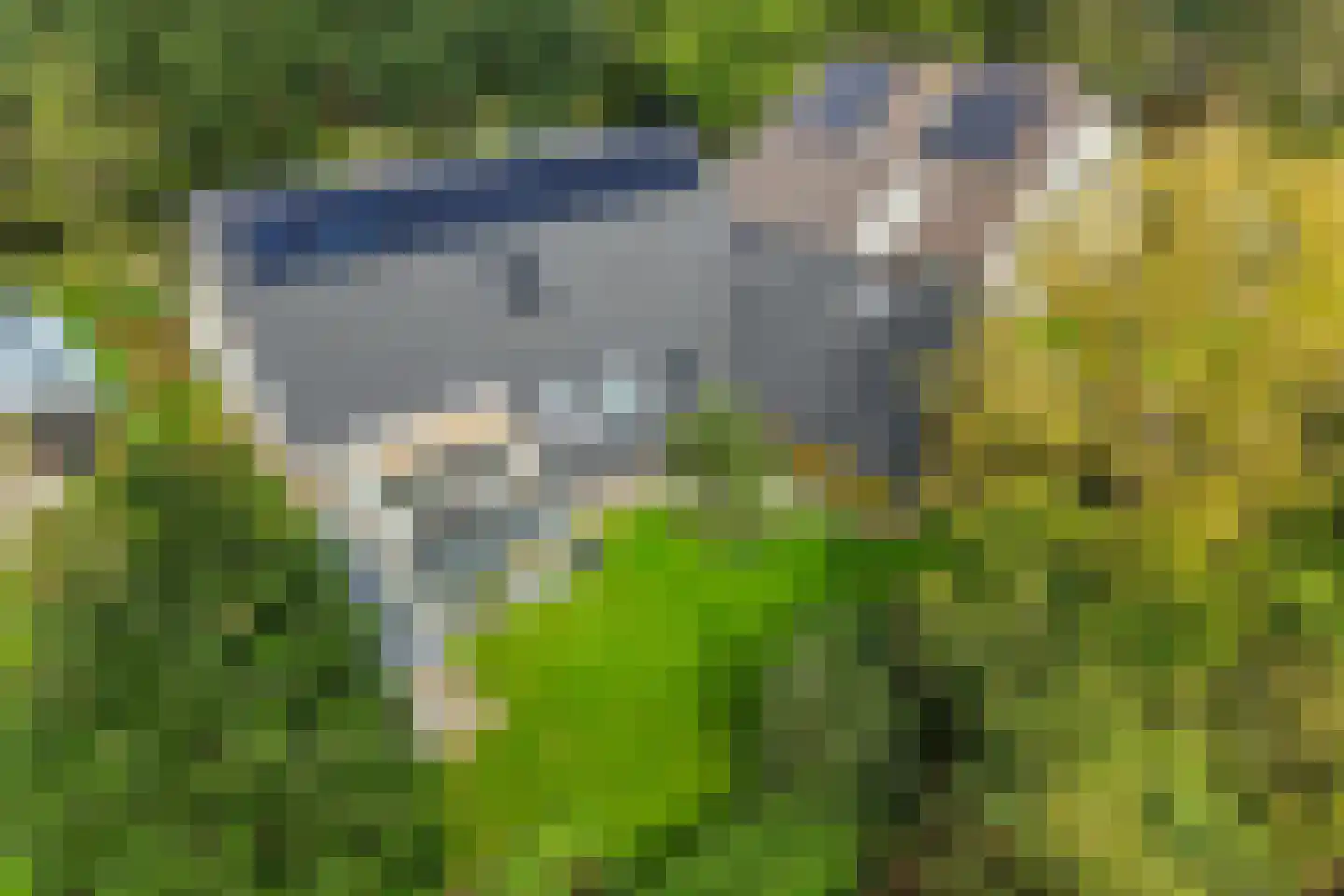 De Wylch 26 Burgum thumbnail 57