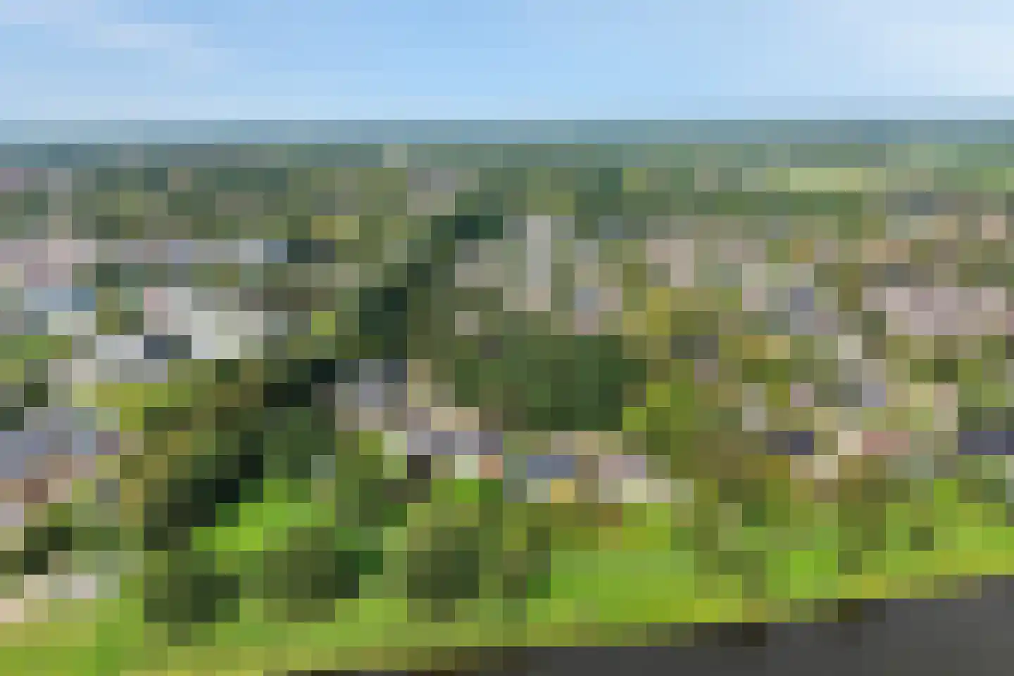 De Wylch 26 Burgum thumbnail 61