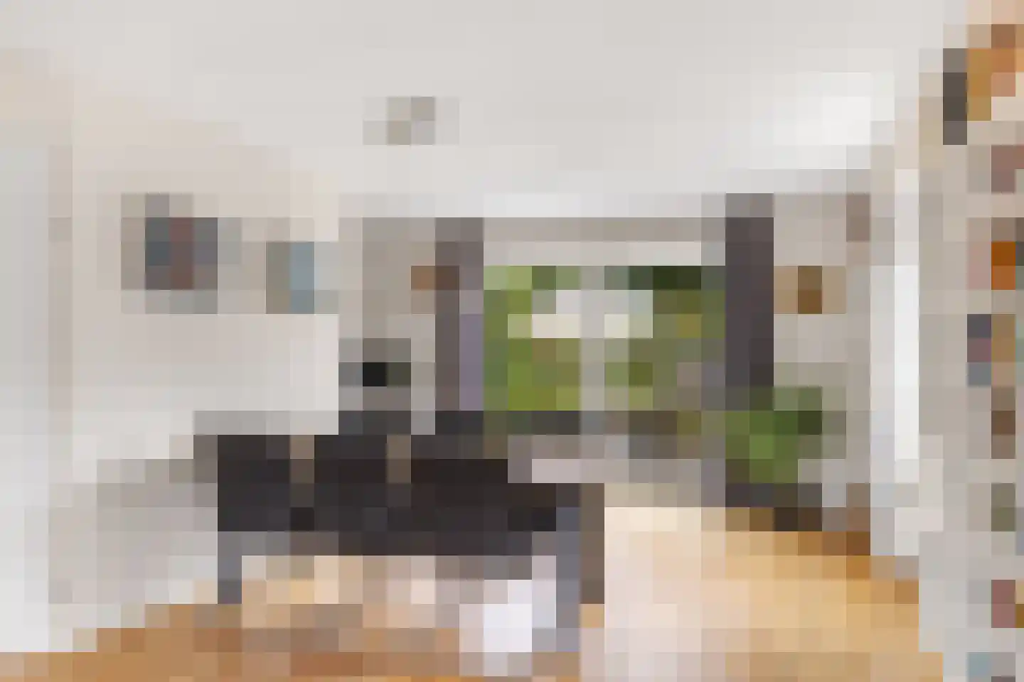De Wylp 9 Bolsward thumbnail 15