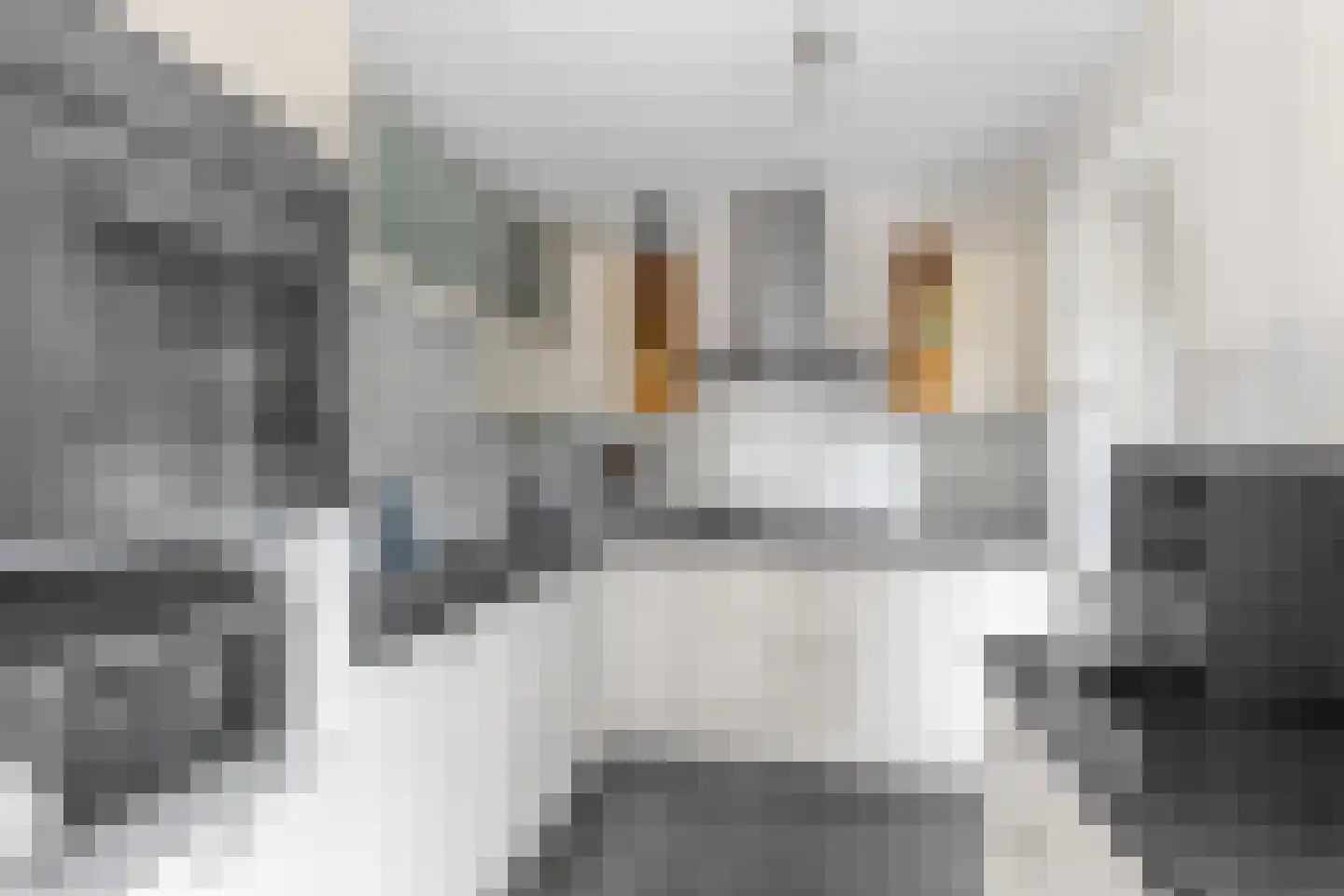De Wylp 9 Bolsward thumbnail 18