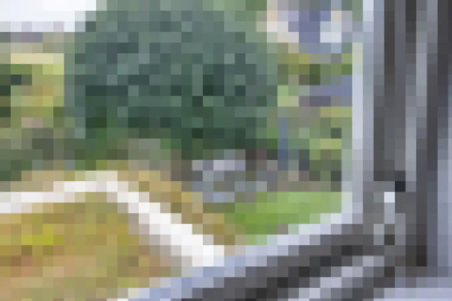 De Wylp 9 Bolsward thumbnail 32