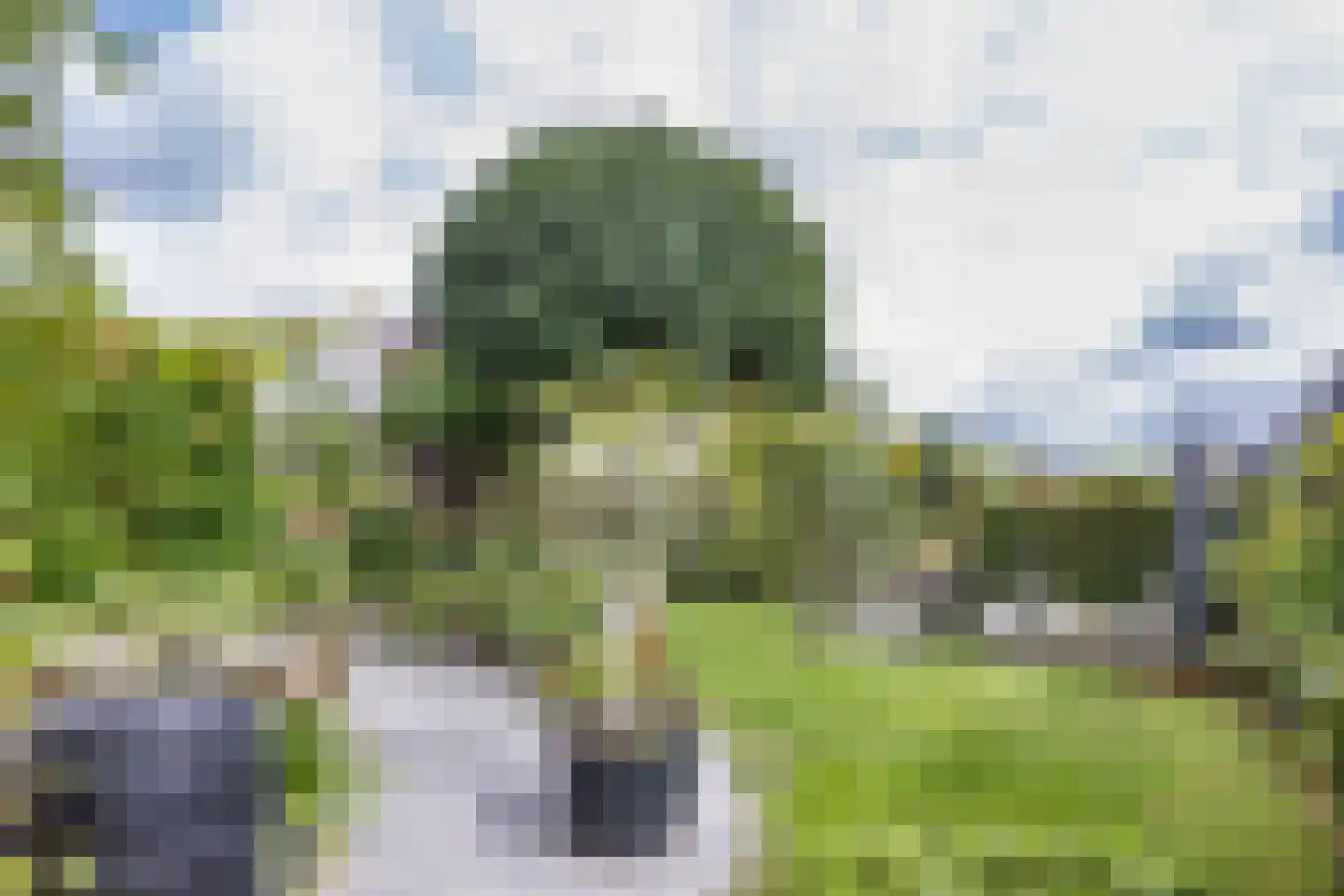 De Wylp 9 Bolsward thumbnail 38