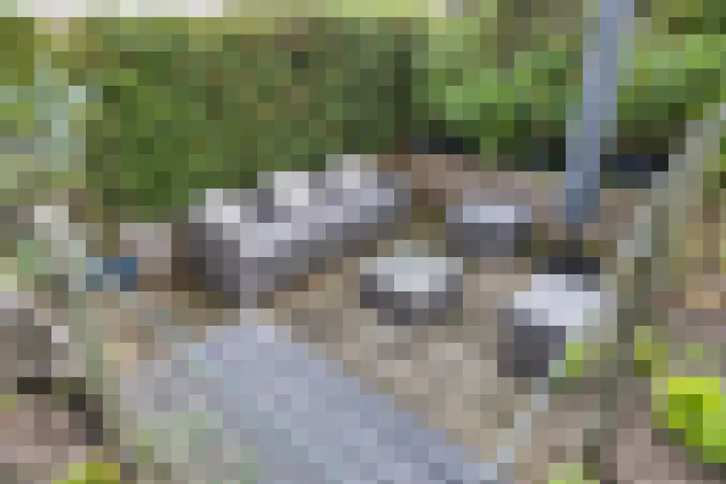 De Wylp 9 Bolsward thumbnail 39