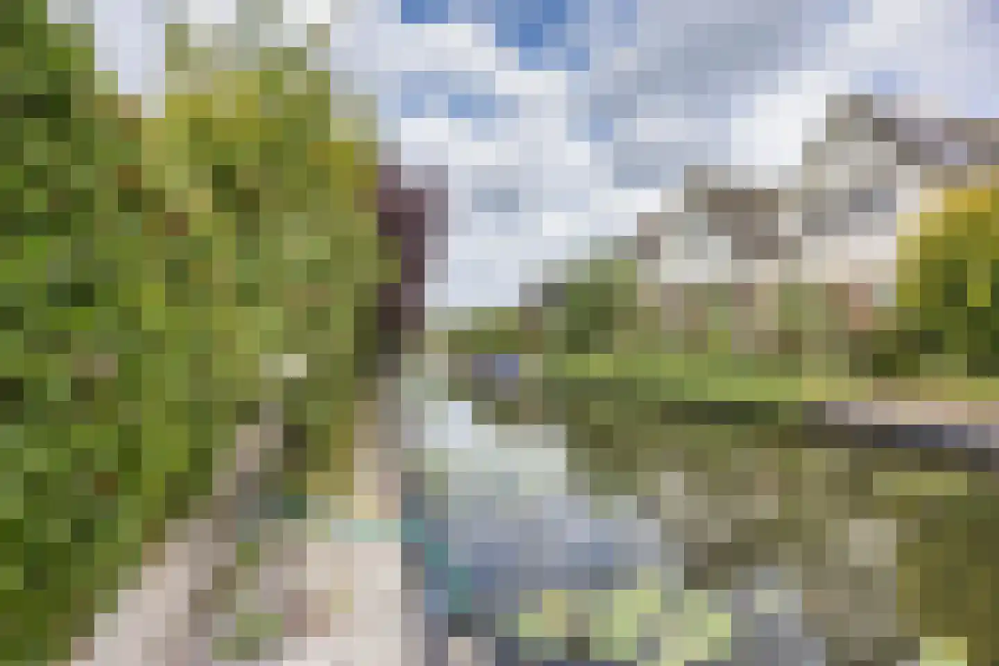 De Wylp 9 Bolsward thumbnail 4