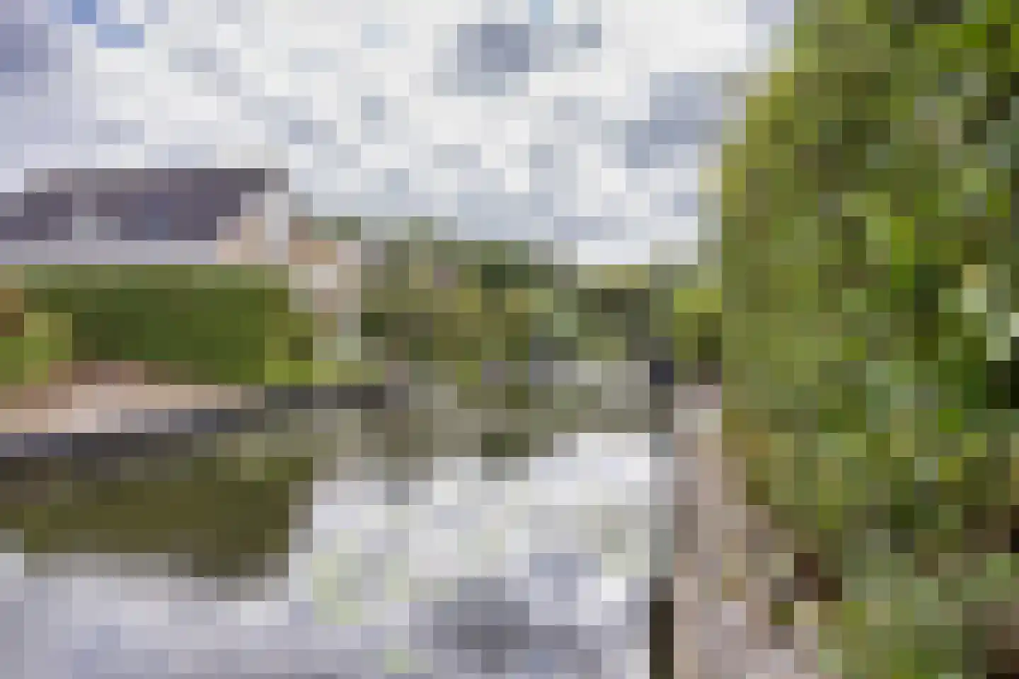 De Wylp 9 Bolsward thumbnail 40
