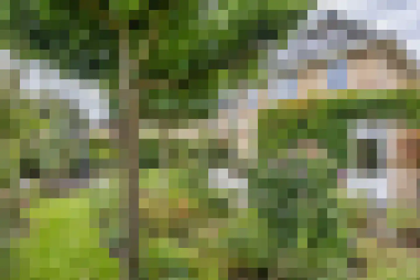De Wylp 9 Bolsward thumbnail 42