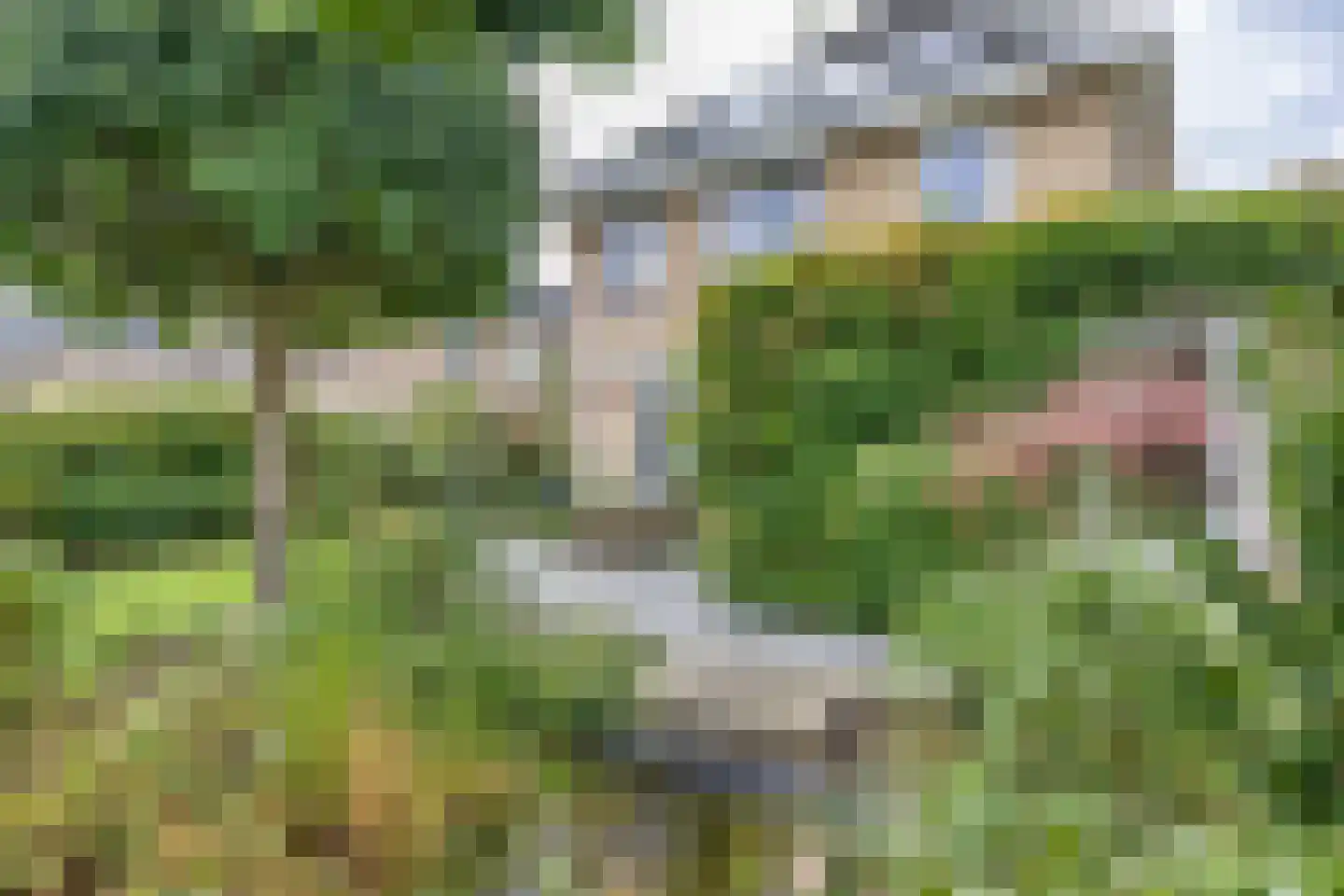 De Wylp 9 Bolsward thumbnail 43