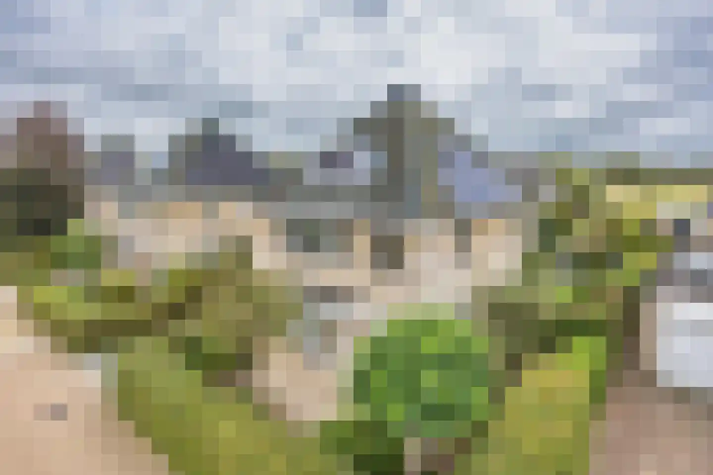 De Wylp 9 Bolsward thumbnail 47