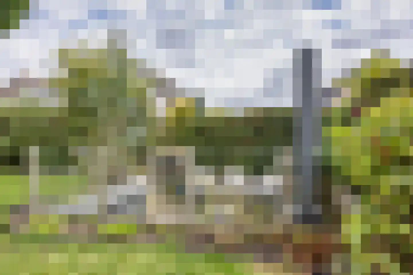 De Wylp 9 Bolsward thumbnail 5