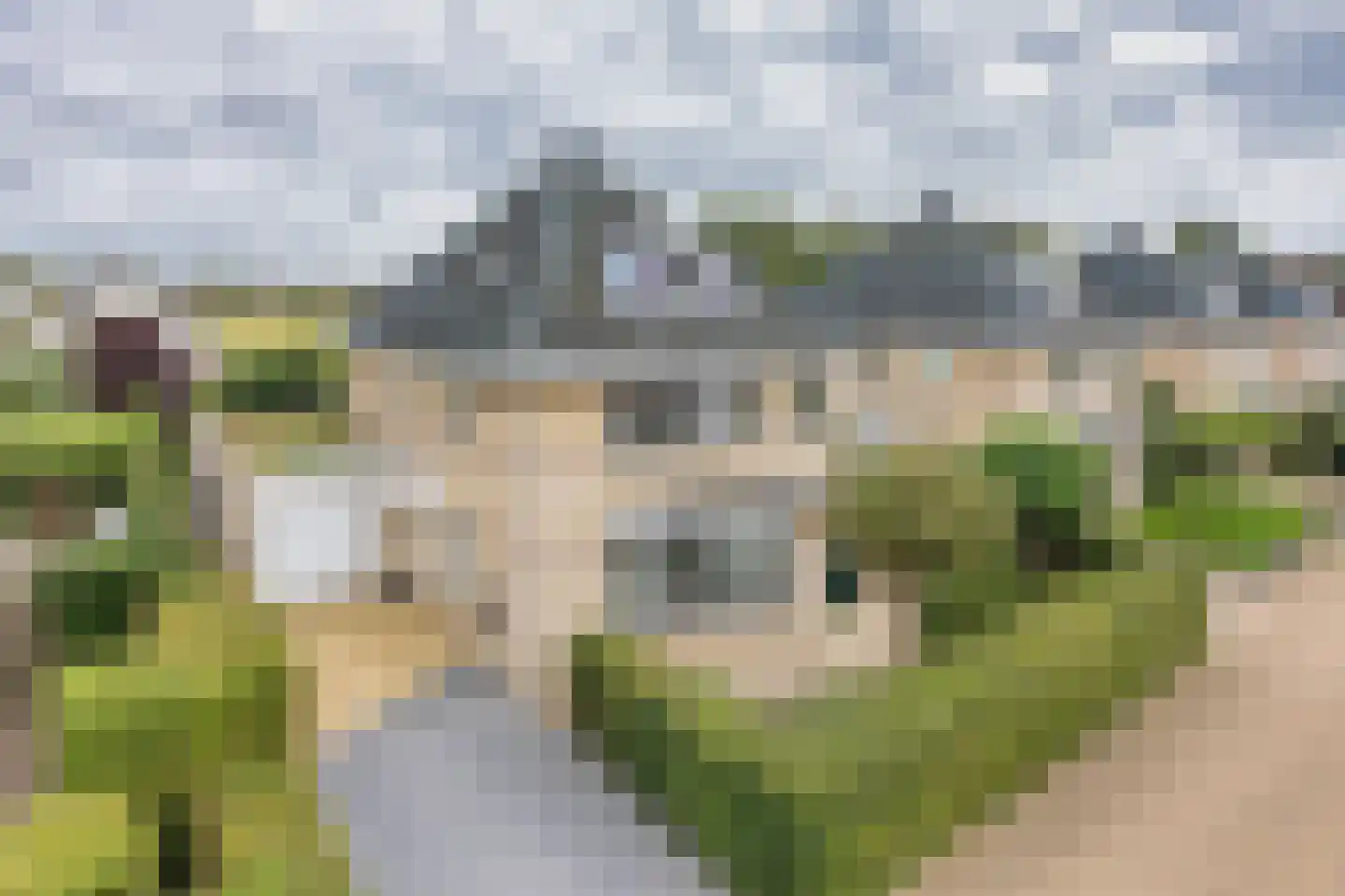 De Wylp 9 Bolsward thumbnail 52