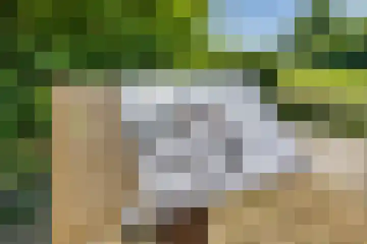 De Wymerts 1 Molkwerum thumbnail 12