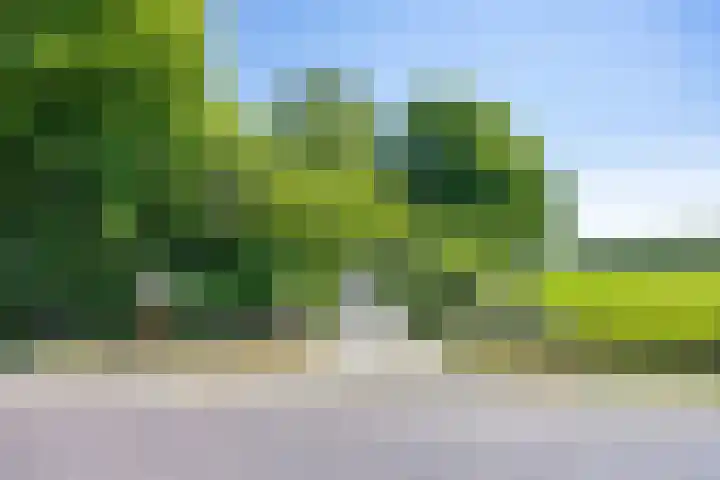 De Wymerts 1 Molkwerum thumbnail 13
