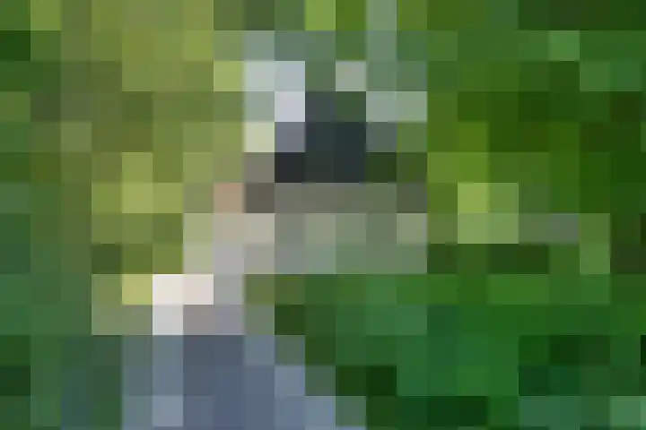 De Wymerts 1 Molkwerum thumbnail 14