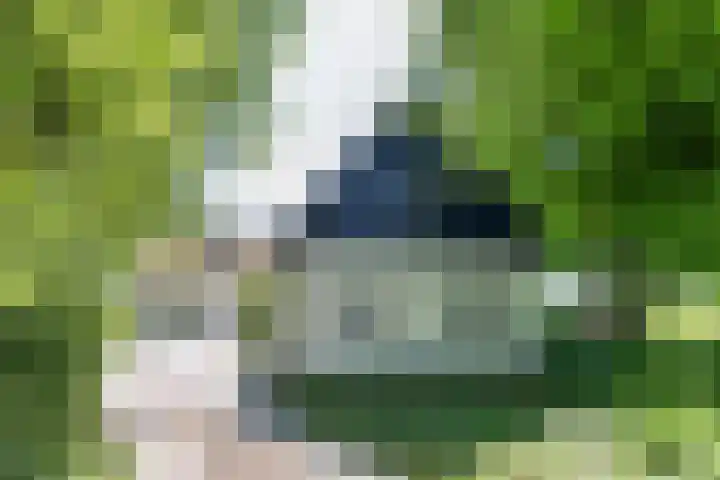 De Wymerts 1 Molkwerum thumbnail 15
