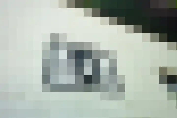 De Wymerts 1 Molkwerum thumbnail 16