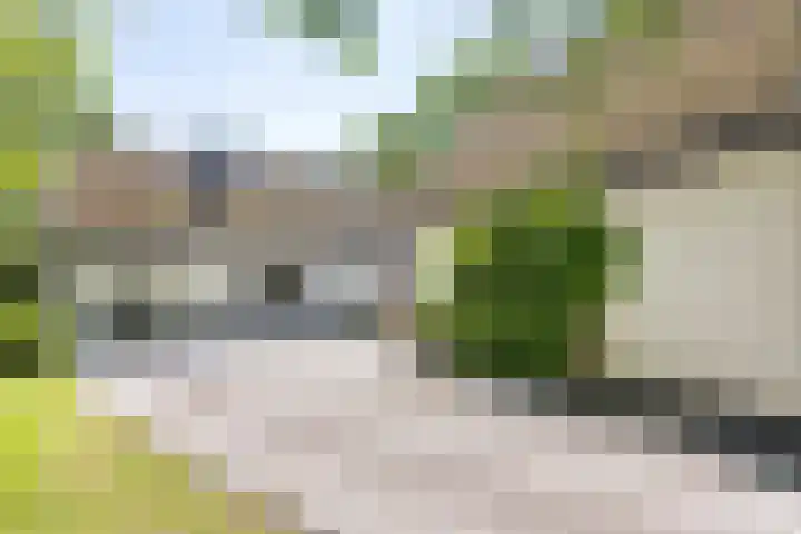 De Wymerts 1 Molkwerum thumbnail 17