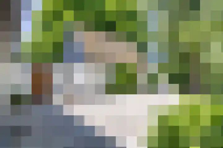 De Wymerts 1 Molkwerum thumbnail 18