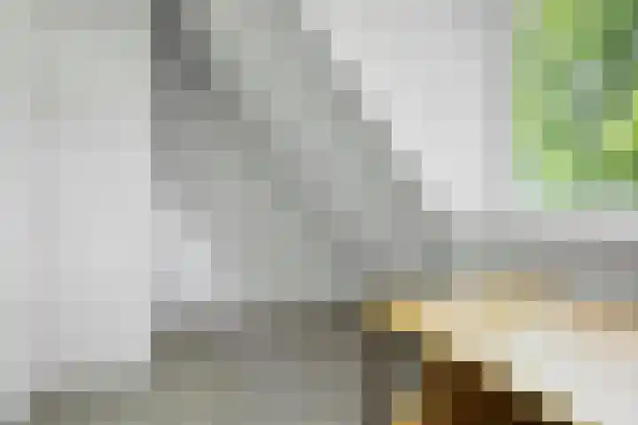 De Wymerts 1 Molkwerum thumbnail 38