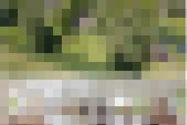 De Wymerts 1 Molkwerum thumbnail 4
