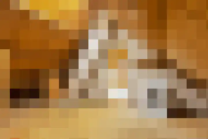 De Wymerts 1 Molkwerum thumbnail 44